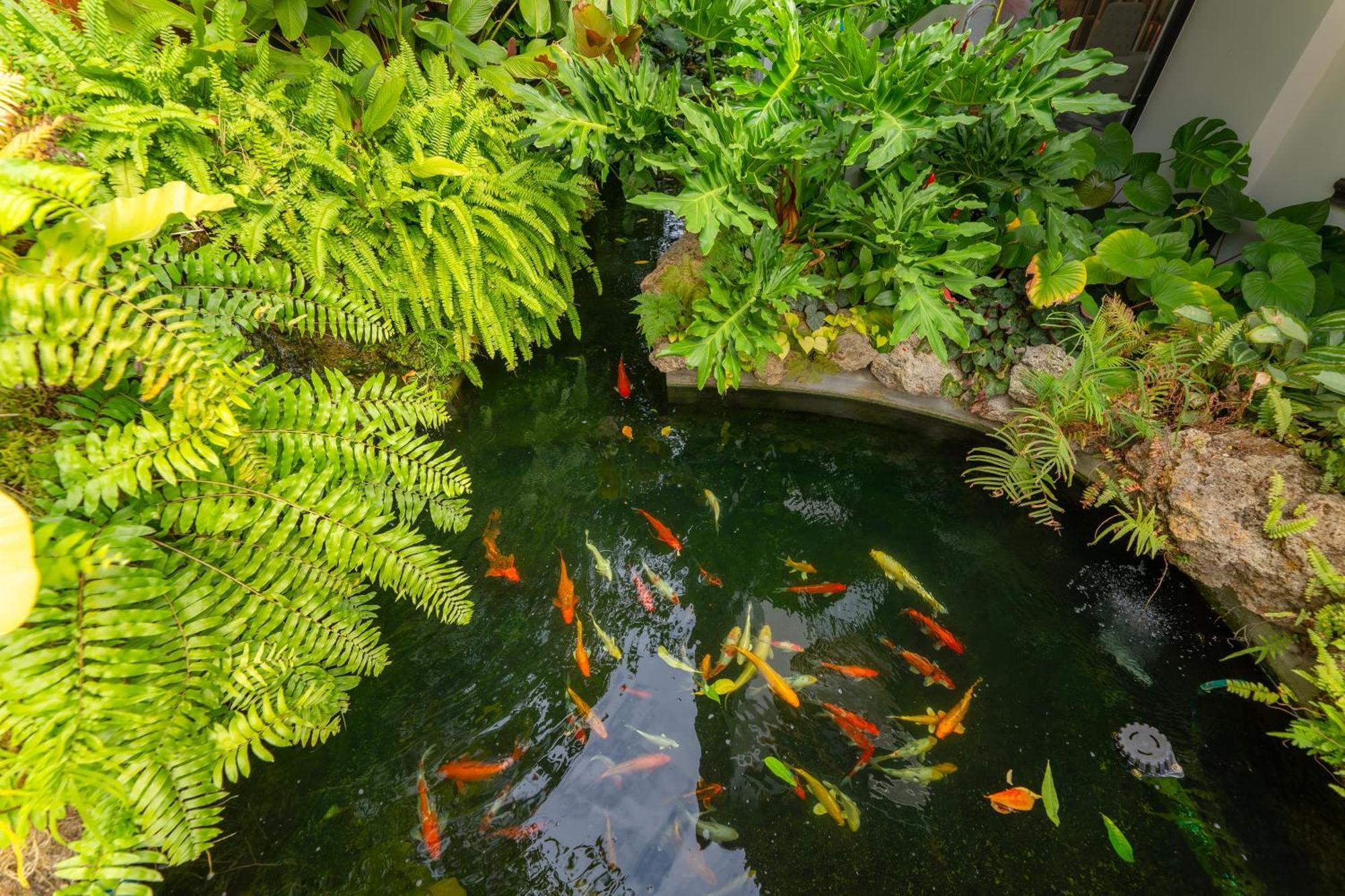 Verbena Chiangmai Чиангмай Екстериор снимка